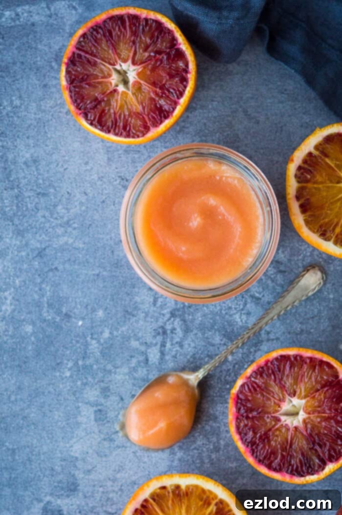 Luscious Vegan Blood Orange Curd 3 A glass jar filled with luscious Vegan Blood Orange Curd, presented on a stylish blue-grey background with scattered blood orange slices and a small spoon nearby.