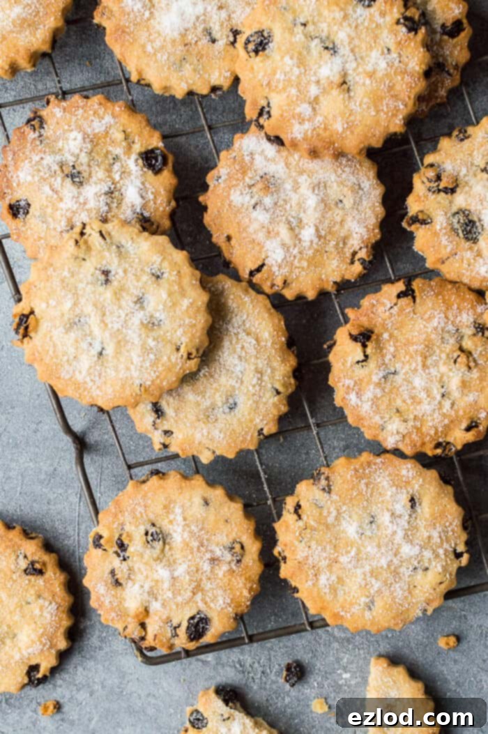 Easy Vegan Easter Biscuits: Crispy, Spiced, Currant & Lemon-Infused Cookies for a Dairy-Free Celebration #vegan #cookies #biscuits #easter #veganbaking #vegancookies Vegan spiced Easter biscuits (cookies) artfully arranged on a wire cooling rack.