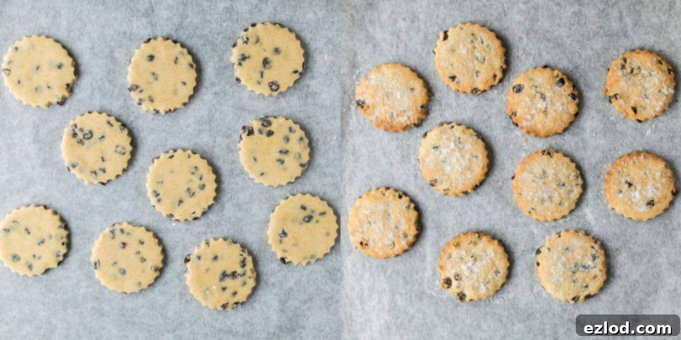 Hoppy Vegan Easter Cookies 4 step 3 - Vegan Easter biscuits on a baking tray, freshly glazed and sprinkled with sugar, ready for the final bake.