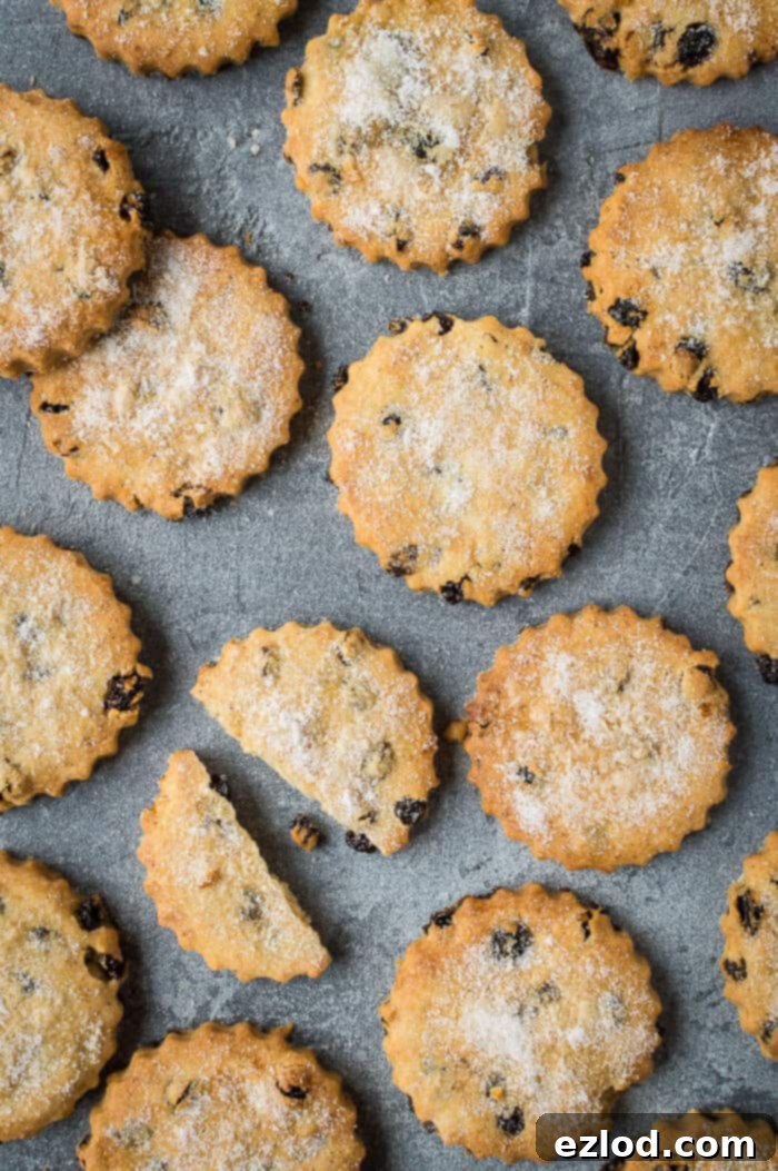 Perfect Vegan Easter Biscuits: Crispy, Spiced, and Zesty with Currants – A Traditional Treat Made Dairy-Free #vegan #cookies #biscuits #easter #veganbaking #vegancookies Sugar-topped vegan Easter biscuits on a grey background, with one biscuit broken in half to show the spiced, currant-filled interior.