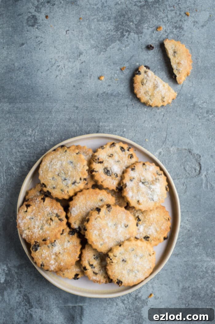 Vegan Easter Biscuits: Crispy, Spiced, and Zesty with Currants – A Traditional Treat Made Dairy-Free and Delicious #vegan #cookies #biscuits #easter #veganbaking #vegancookies Top-down view of a cream plate filled with vegan Easter biscuits on a grey background, with a broken biscuit revealing its interior.