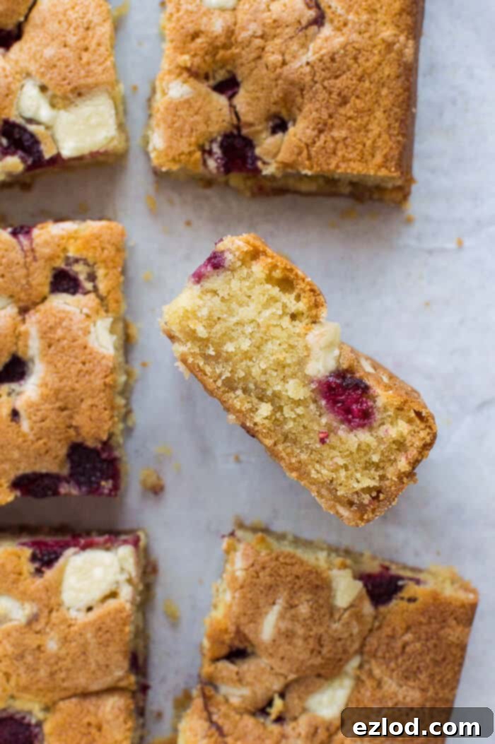 Raspberry, white chocolate and almond sheet cake - this amazing eggless, dairy free and vegan traybake cake is wonderfully soft and moist and full of fresh raspberries and white chocolate chunks. #vegan #vegancake #veganbaking #snackcake #coffeecake #plantbased #dairyfree #almond A close-up view of the perfectly baked crumb of a slice of vegan raspberry, white chocolate, and almond sheet cake, showing its tender texture and delicious inclusions. This eggless, dairy-free, and plant-based snack cake is great for coffee breaks or dessert.