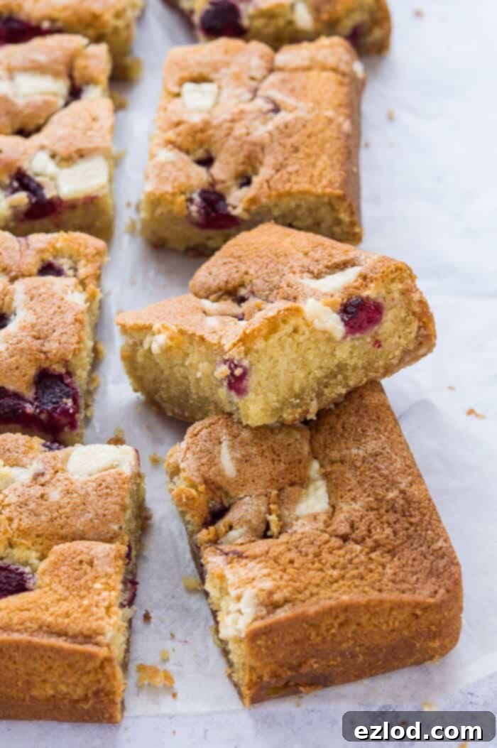 Raspberry, white chocolate and almond sheet cake - this amazing eggless, dairy free and vegan traybake cake is wonderfully soft and moist and full of fresh raspberries and white chocolate chunks. #vegan #vegancake #veganbaking #coffeecake #plantbased #dairyfree #eggless Artfully arranged slices of vegan raspberry white chocolate almond cake on a grey background, ready to be enjoyed. This moist, eggless, and dairy-free traybake is a perfect plant-based treat for any occasion.