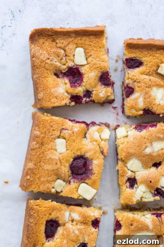 Luscious Vegan Raspberry White Chocolate Almond Sheet Cake 3 A close-up view of perfectly square slices of vegan raspberry, white chocolate, and almond sheet cake arranged on a subtle grey background, highlighting the distinct layers and delicious ingredients. This plant-based, eggless, and dairy-free cake is an ideal treat.
