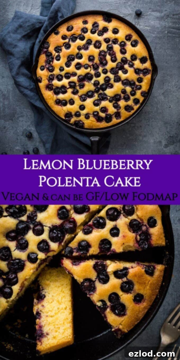 Summery cornmeal snack cake: Vegan Lemon Blueberry Polenta Cake, baked in a skillet, ideal for any meal or snack. Another perspective of the vegan lemon blueberry polenta cake, baked to golden perfection in a skillet, ready to be enjoyed.