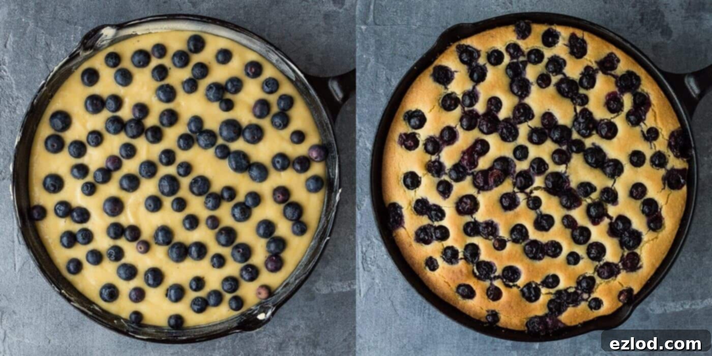 Lemon Blueberry Polenta Cake Vegan Gluten Free Low Fodmap Friendly 3 Step-by-step image showing the vegan lemon blueberry polenta cake baking in a black cast iron skillet inside an oven, showcasing its golden-brown top.