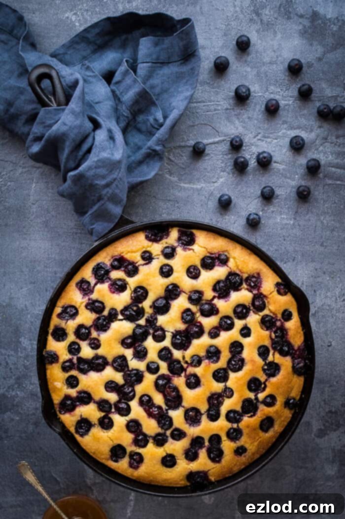 Whole Vegan Lemon Blueberry Polenta Cake in a skillet, perfect for a gathering or a cozy treat at home, with fresh berries and lemon. A black cast iron skillet filled with a golden-brown vegan lemon blueberry polenta cake, placed on a modern grey background, accompanied by a grey linen cloth and a scatter of fresh blueberries.