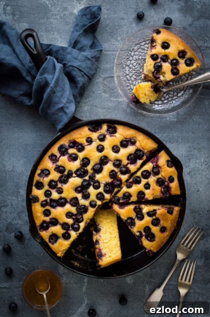 Enjoy a slice of Vegan Lemon Blueberry Polenta Cake – tender, moist, and bursting with citrus and berry flavor. A sliced vegan lemon blueberry polenta cake, with one perfect slice artfully placed on a clear glass plate next to the skillet, ready for serving.