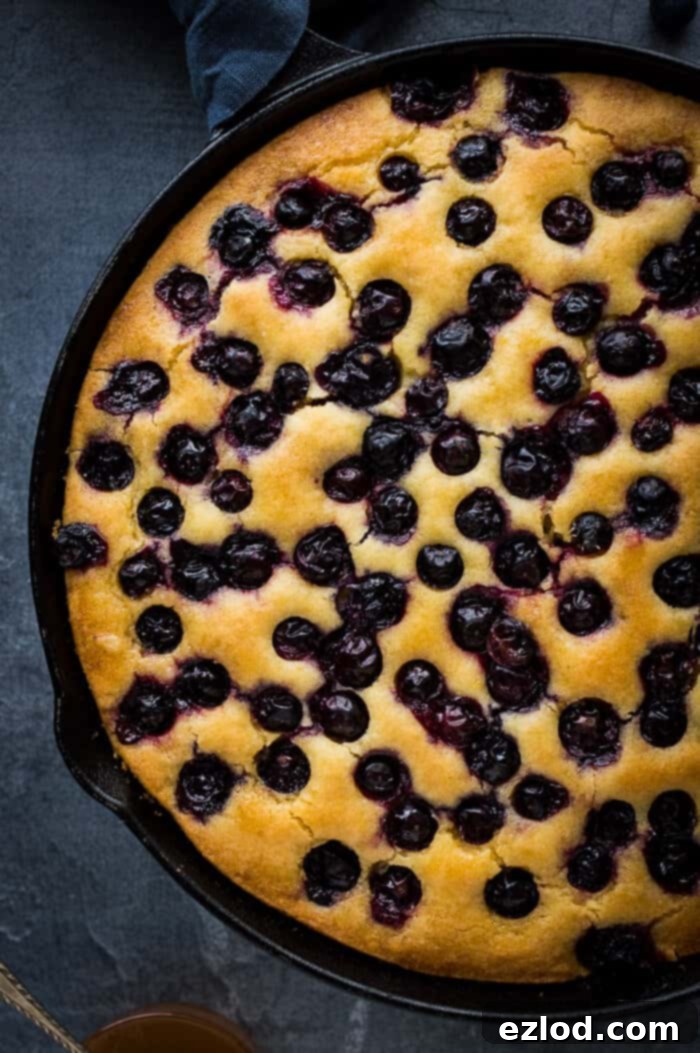 Fresh blueberries adorning the rustic Vegan Lemon Blueberry Polenta Cake, a feast for the eyes and the palate. A close-up of fresh, vibrant blueberries sprinkled over the golden-brown top of the baked vegan lemon blueberry polenta cake, highlighting its natural beauty and freshness.