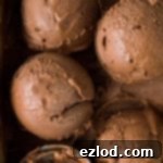 Velvety Vegan Chocolate Decadence 7 Close up of scoops of creamy vegan chocolate ice cream.