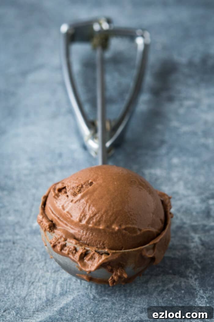 Rich and creamy vegan chocolate ice cream - this is the creamiest vegan chocolate ice cream with no hint of iciness and a rich chocolate flavour. Made with cashews and coconut milk for the smoothest, most decadent texture. NO bananas! #vegan #plantbased #veganicecream #chocolateicecream #dairyfree #eggless #icecream An ice cream scoop with a scoop of vegan chocolate ice cream.