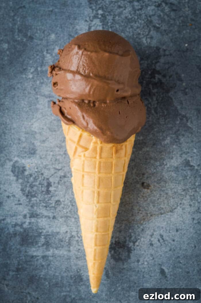 Velvety Vegan Chocolate Decadence 6 A cone of vegan chocolate ice cream on a grey background.