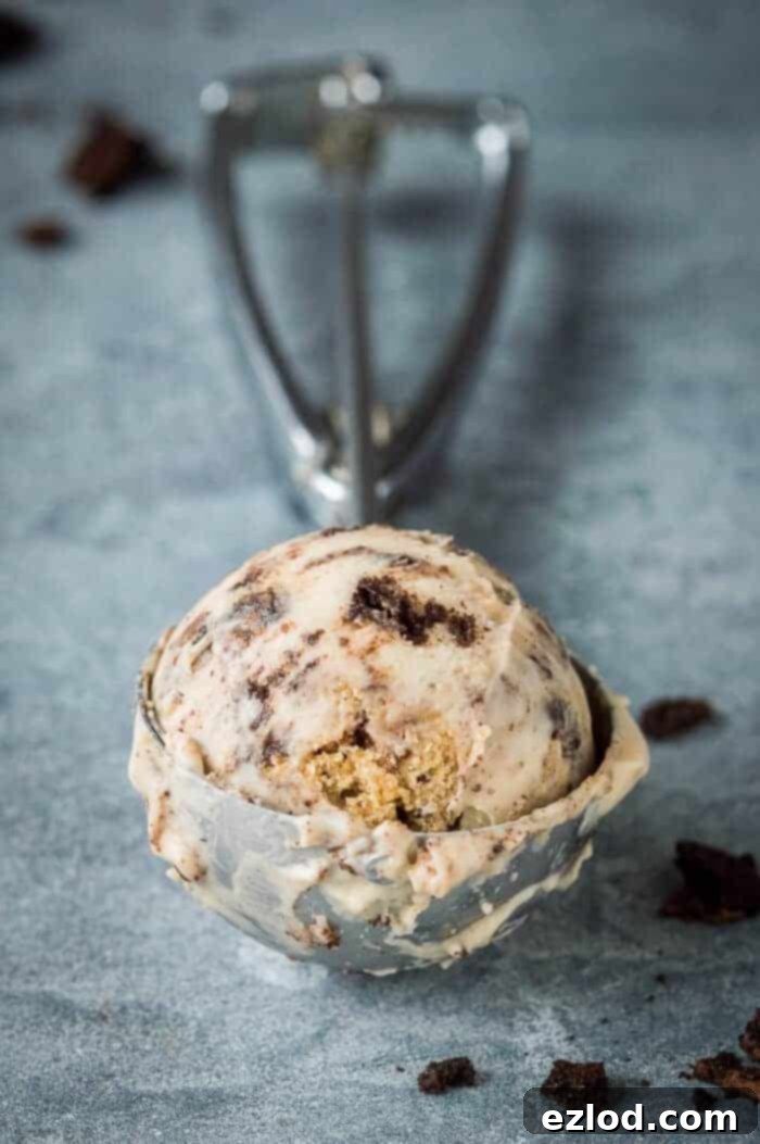 Vegan peanut butter and cookies ice cream - super rich and creamy vegan peanut butter ice cream filled with peanut butter cookie dough and Oreos. No hint of iciness and no bananas! Eggless and dairy free. #icecream #veganicecream #eggless #dairyfree #vegandessert #peanutbutter #oreo #cookiedough #plantbased Close up of a metal ice cream scoop with a scoop of vegan peanut butter and cookies ice cream in it.