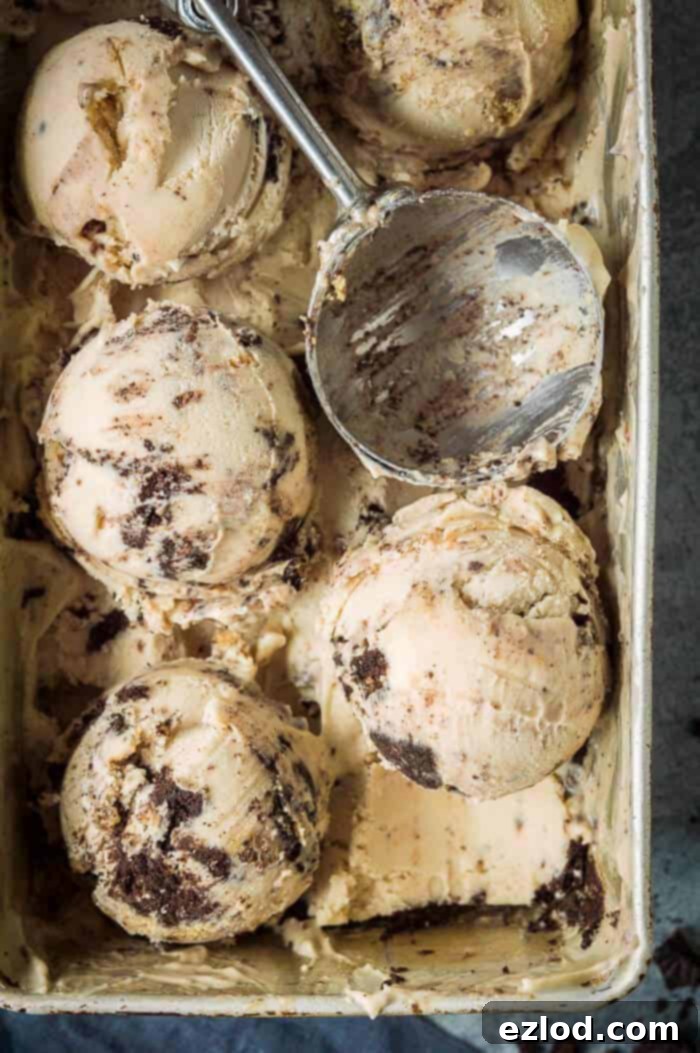 Vegan peanut butter and cookies ice cream - super rich and creamy vegan peanut butter ice cream filled with peanut butter cookie dough and Oreos. No hint of iciness and no bananas! Eggless and dairy free. #icecream #veganicecream #eggless #dairyfree #vegandessert #peanutbutter #oreo #cookiedough #plantbased Close up of scoops of peanut butter and cookies ice cream in a metal dish.