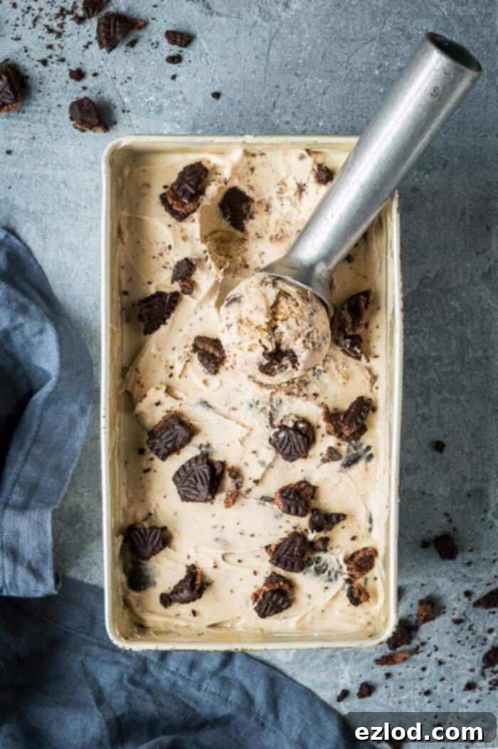 Vegan peanut butter and cookies ice cream - super rich and creamy vegan peanut butter ice cream filled with peanut butter cookie dough and Oreos. No hint of iciness and no bananas! Eggless and dairy free. #icecream #veganicecream #eggless #dairyfree #vegandessert #peanutbutter #oreo #cookiedough #plantbased Vegan peanut butter and cookies ice cream in a metal loaf tin with an ice cream scoop and crushed Oreos.
