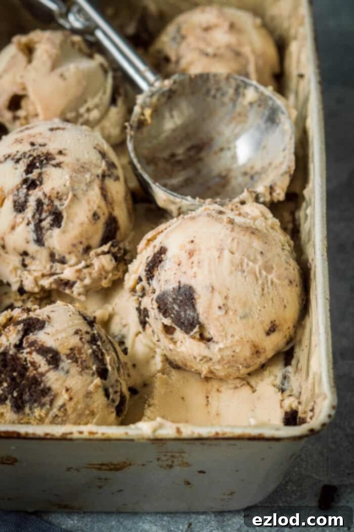 Vegan peanut butter and cookies ice cream - super rich and creamy vegan peanut butter ice cream filled with peanut butter cookie dough and Oreos. No hint of iciness and no bananas! Eggless and dairy free. #icecream #veganicecream #eggless #dairyfree #vegandessert #peanutbutter #oreo #cookiedough #plantbased Scoops of peanut butter ice cream in a metal loaf tin.