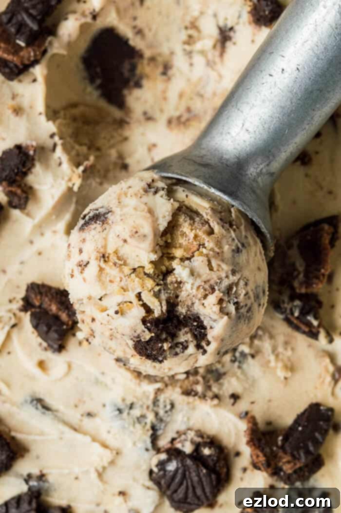 Vegan peanut butter and cookies ice cream - super rich and creamy vegan peanut butter ice cream filled with peanut butter cookie dough and Oreos. No hint of iciness and no bananas! Eggless and dairy free. #icecream #veganicecream #eggless #dairyfree #vegandessert #peanutbutter #oreo #cookiedough #plantbased Close up of a scoop of vegan peanut butter and cookies ice cream with a metal ice cream scoop.