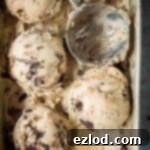 Vegan Peanut Butter Cookie Dream 5 Close up of scoops of peanut butter and cookies ice cream in a metal dish.