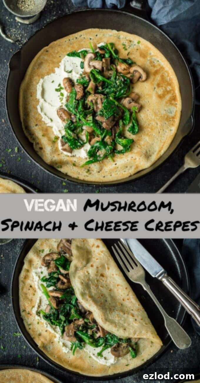 Vegan spinach and mushroom crepes with almond cheese - these savoury pancakes are a quick, easy, healthy and delicious plant based meal. #vegan #plantbased #veganmeal #vegancrepes #veganpancakes #eggless #dairyfree #vegancheese #vegandinner #veganbreakfast #veganbrunch #veganlunch #healthy #easy #pancakes #crepes #savourypancakes img 9633 8
