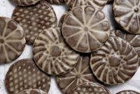 Vegan Glazed Gingerbread Cookies