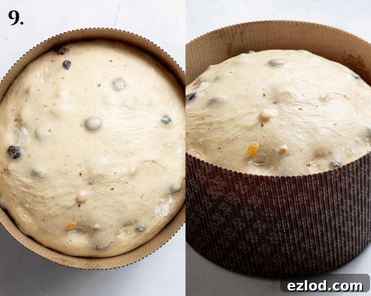 Step 9, the risen panettone in the paper mold.