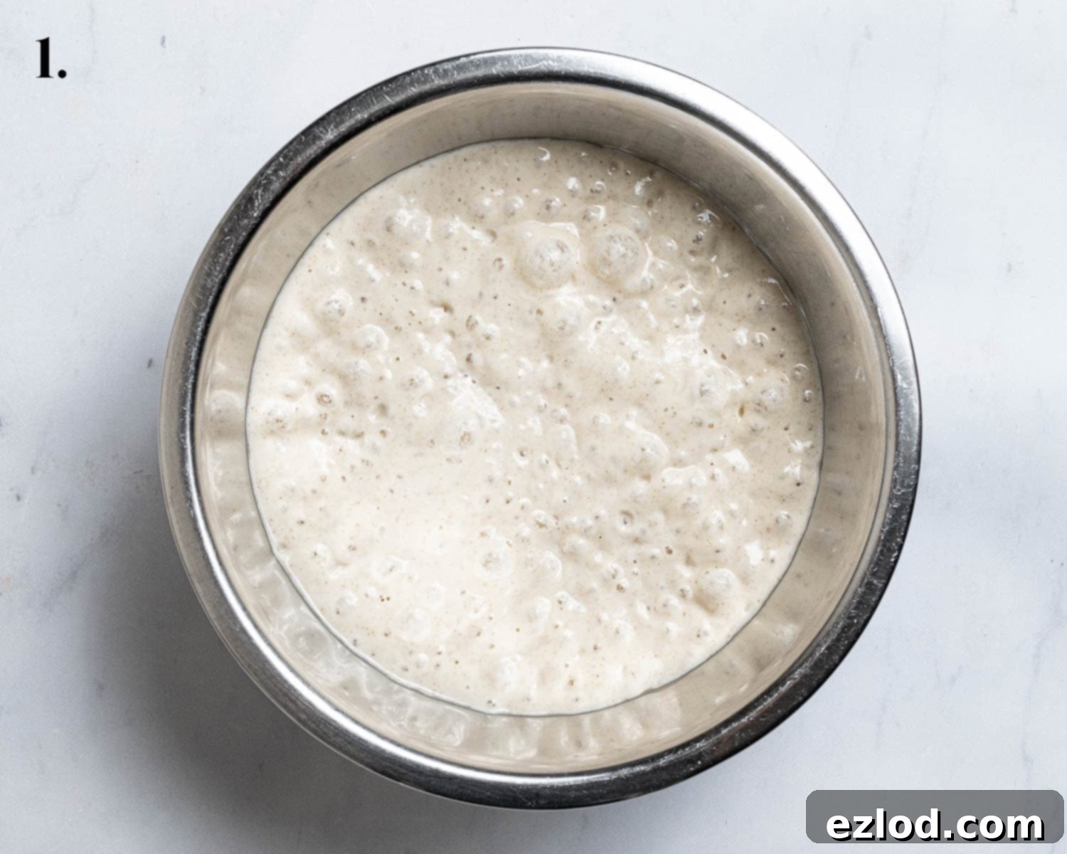 Step 1, the poolish after rising.