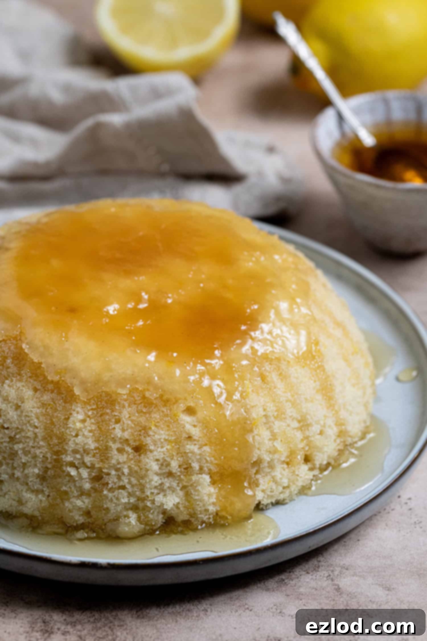 Vegan Microwave Syrup Pudding 4 Close up shot of the vegan microwave syrup sponge pudding.